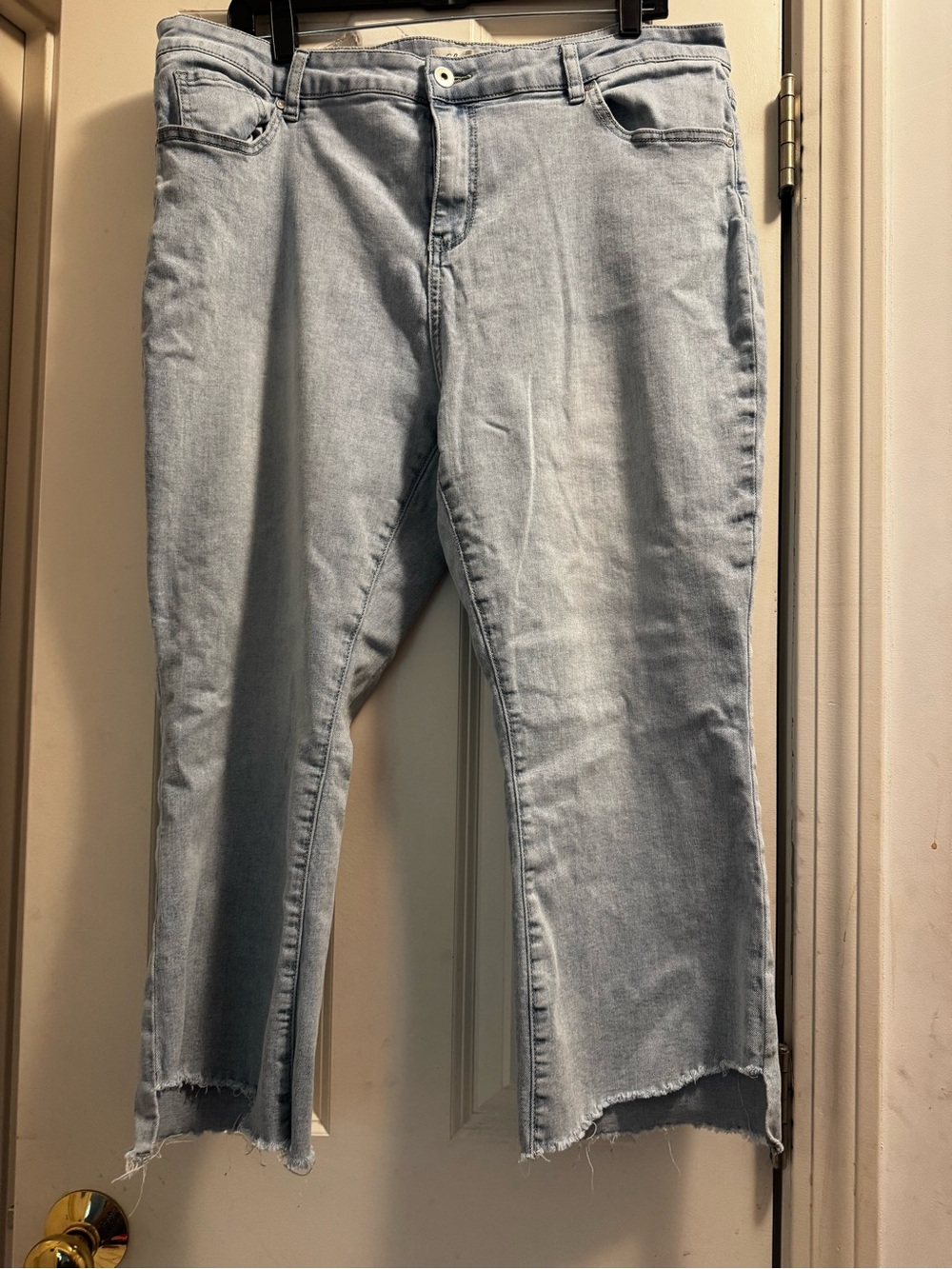 CHARLIE B Light Blue Denim